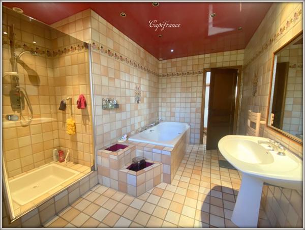 Dpt  (93), à vendre  maison P6 de 255 m² - Terrain de 808,00 m²