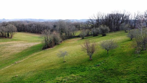 Maison 70 m2 aménagée dans un ancien corps de ferme, dépendances, terrain arboré avec vue