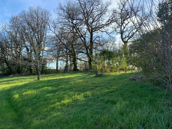 Maison 70 m2 aménagée dans un ancien corps de ferme, dépendances, terrain arboré avec vue