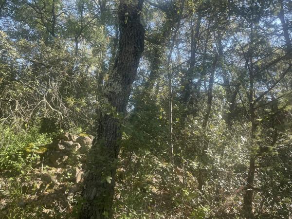 Immobilier Lorgues (83510) – Terrain inconstructible 10411m2 – 30 000 €