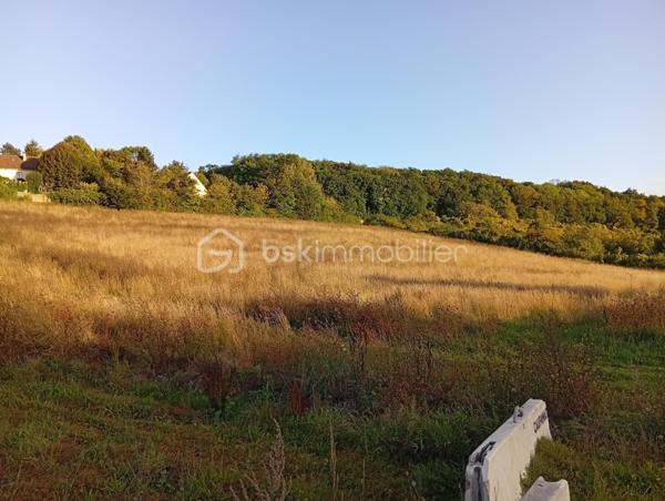 Terrain agricole de 10 469 m²