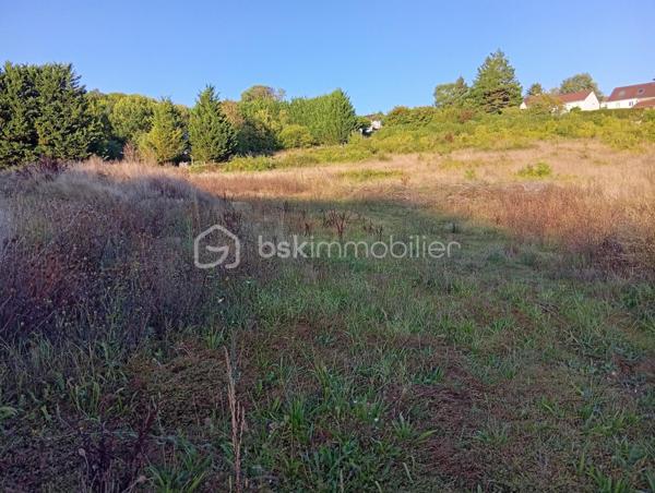 Terrain agricole de 10 469 m²