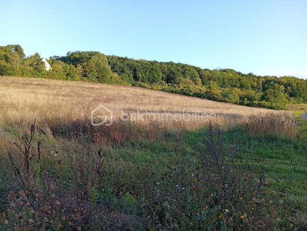 Terrain agricole de 10 469 m²