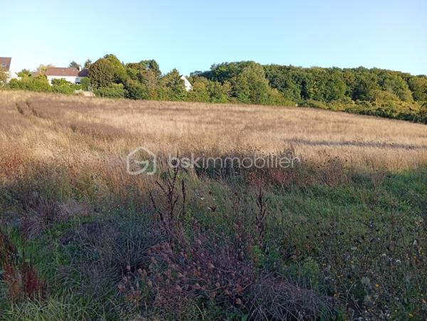 Terrain agricole de 10 469 m²