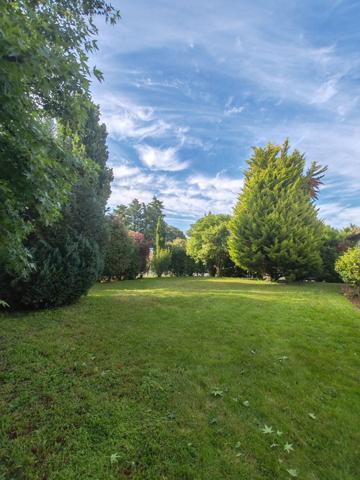 Vente Terrain514 m² - ANDREZE (49600)