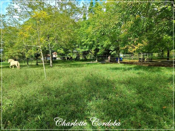 Coup de cœur pour cette maison en pierre au cœur de la nature, possibilité gîte – 2 ha et vue imprenable