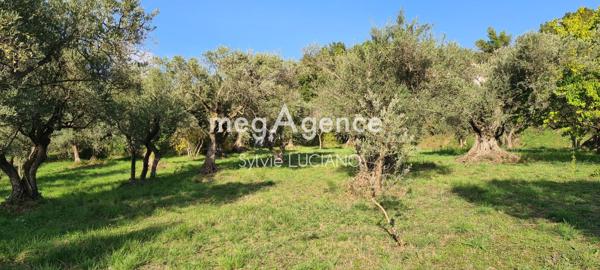 Terrain à MANOSQUE, 04100 - 2026m²