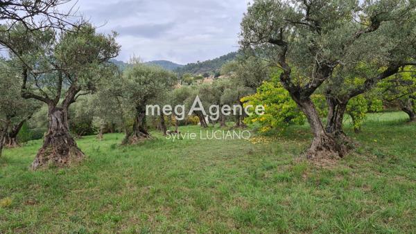 Terrain à MANOSQUE, 04100 - 2026m²