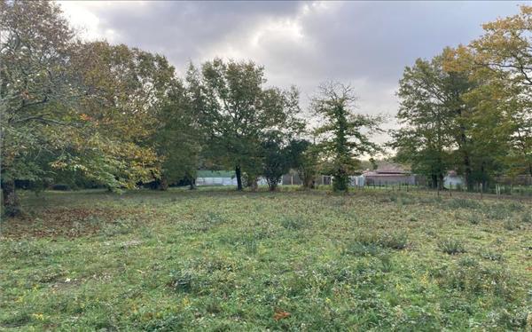 Terrain à vendre |  Grayan-et-l'Hôpital |  1744 m²