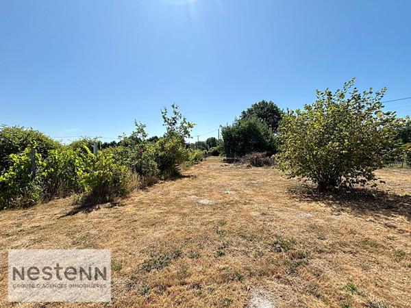 Maison 3 chambres Hangar 250 m² Commequiers