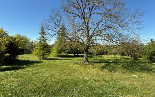 Maison à vendre    7 pièces •  Migné-Auxances