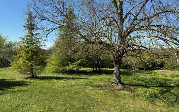 Maison à vendre    7 pièces •  Migné-Auxances