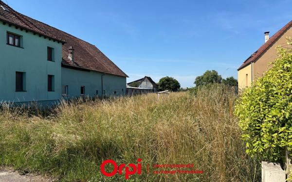 Terrain à vendre    Witternheim