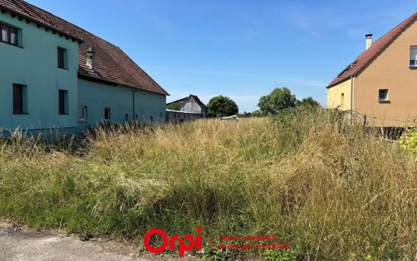 Terrain à vendre    Witternheim