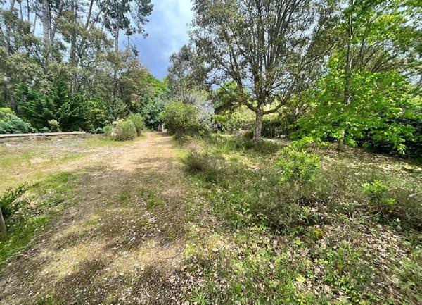 Terrain à vendre    Moliets-et-Maa