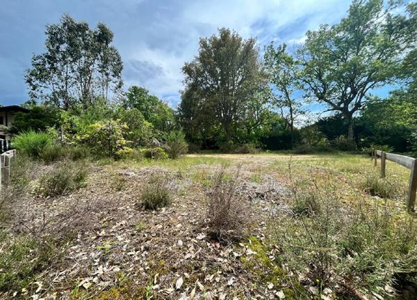 Terrain à vendre    Moliets-et-Maa