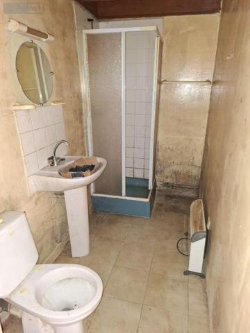 Maison à restaurer à vendre à Maël-Carhaix dans les Côtes-d'Armor (22340), ref : 22075-MA01604