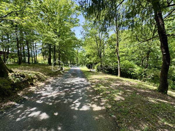 À seulement 5 minutes de la ville, nichée dans un environnement calme et entièrement boisé, ce bien profite d’une situation privilégiée, à la fois apaisante et à proximité immédiate des commodités. Je vous propose cette maison familiale de 160 m² habitables, sur sous-sol complet, implantée dans un parc arboré de 5370 m², offrant une vue dégagée sur la Montagne Noire.

Construite en 1985, cette maison présente une belle pièce de vie avec cuisine ouverte sur salon et séjour, agrémentée d’une grande cheminée centrale, avec accès direct à une véranda fermée de 25m2 exposée sud. À ce niveau, vous trouverez deux chambres de 13 et 15m2 avec placards, une salle de bain, et un WC séparé. Un second salon, plus intimiste et surélevé, complète l'espace principal.

À l’étage, deux chambres mansardées s’ouvrent sur un solarium, avec espace de rangement, le tout modulable offrant diverses possibilités.

Au sous-sol, environ 130 m², comprennent un garage avec cuisine d’été, une salle de bain supplémentaire, des espaces de rangement et une cave.

Le parc de 5370 m², entièrement clôturé, comprend plusieurs abris et dépendances pour véhicules (camping-car, caravane). La piscine sécurisée (10x4) est complétée par une douche, WC, terrasse couverte, barbecues et four à pizza, pour des moments conviviaux et authentiques.

Côté technique : 
-chauffage principal assuré par chaudière sur PAC AIR/EAU.
-Grand Insert redistribuant la chaleur dans plusieurs espaces. 
-Quatre unités de climatisation par PAC équipent la pièce de vie et une chambre. 
-Assainissement autonome par fosse septique.

Les commodités sont à proximité, permettant un accès rapide à la zone commerciale du Siala, au centre-ville, ainsi qu’à l’ensemble des établissements scolaires, infrastructures médicales, et tous commerces nécessaires au quotidien.

N’hésitez pas à me contacter pour organiser la visite de ce bien, qui mérite vraiment votre attention et ne demande qu’à être découvert.
L’organisation des visites se fait au : 06.51.97.28.57
