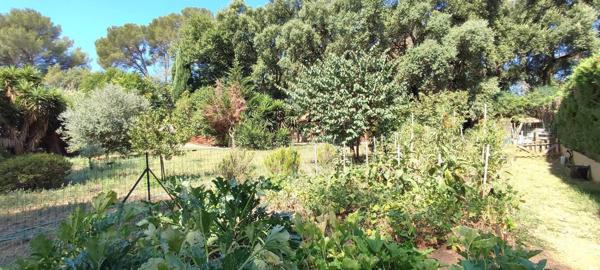 Vente Propriété 16 pièces 326 m2 à La Londe-les-Maures