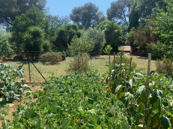 Vente Propriété 16 pièces 326 m2 à La Londe-les-Maures