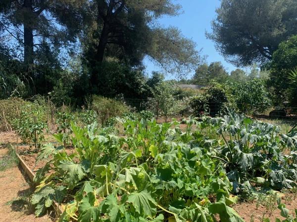 Vente Propriété 16 pièces 326 m2 à La Londe-les-Maures