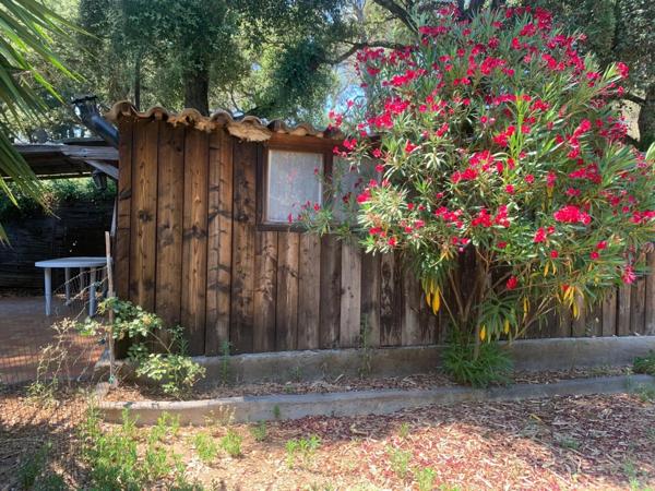 Vente Propriété 16 pièces 326 m2 à La Londe-les-Maures