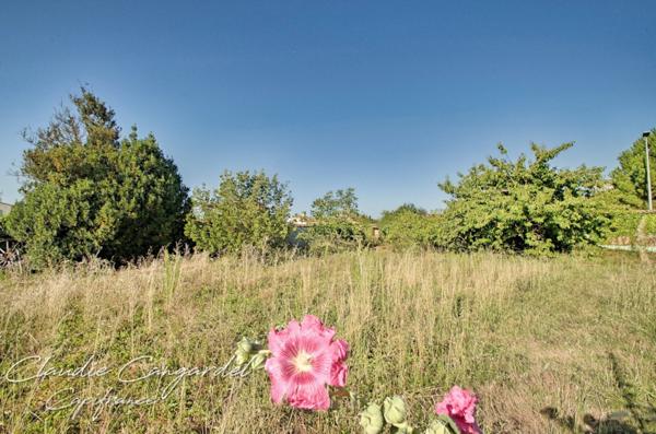 Dpt Charente Maritime (17), à vendre MARSILLY terrain