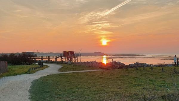 Dpt Charente Maritime (17), à vendre MARSILLY terrain