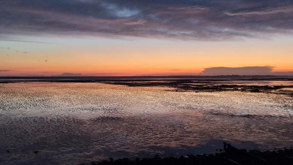 Dpt Charente Maritime (17), à vendre MARSILLY terrain