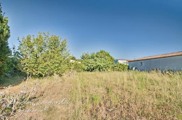 Dpt Charente Maritime (17), à vendre MARSILLY terrain