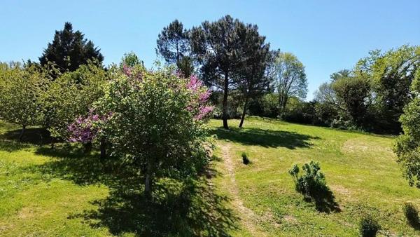 Maison en pierre 244 m², 1,2 ha arboré