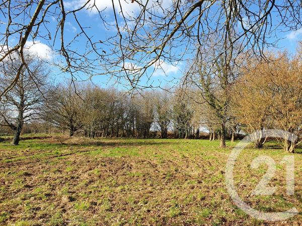 terrain à vendre  1084 m2 PLOUISY - 22
