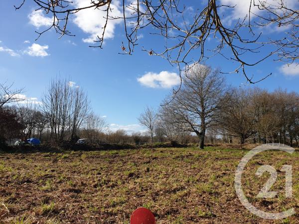 terrain à vendre  1084 m2 PLOUISY - 22