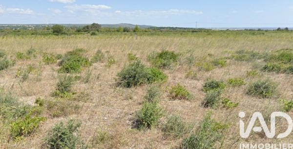 Terrain à vendre 2 940 m² La Palme