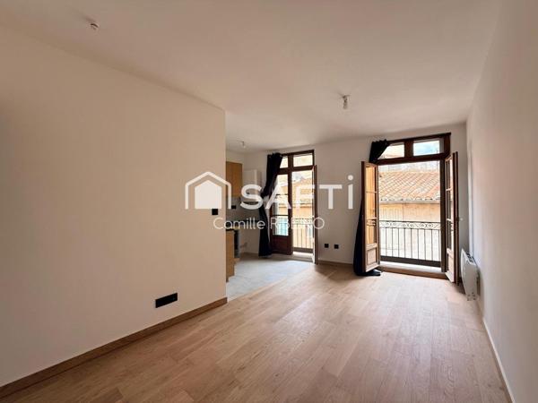 PERPIGNAN,APPT T2 RENOVE AVEC GOUT,CENTRE VILLE