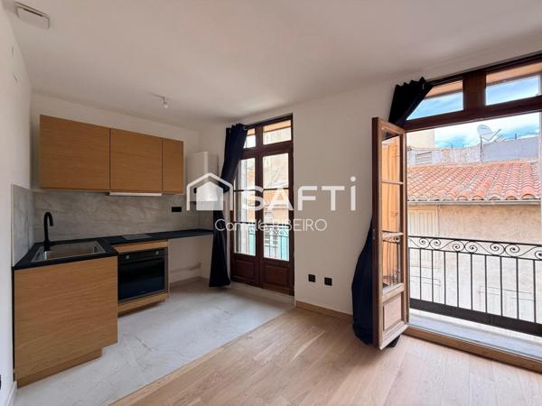 PERPIGNAN,APPT T2 RENOVE AVEC GOUT,CENTRE VILLE