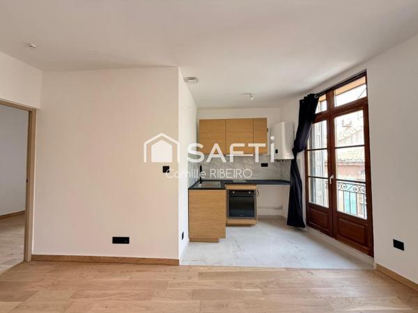 PERPIGNAN,APPT T2 RENOVE AVEC GOUT,CENTRE VILLE