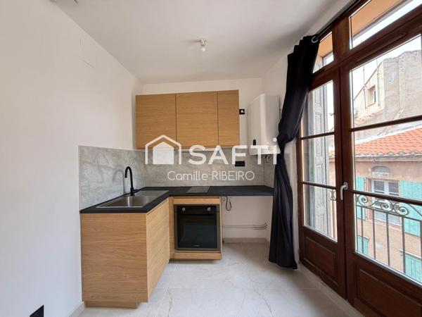 PERPIGNAN,APPT T2 RENOVE AVEC GOUT,CENTRE VILLE