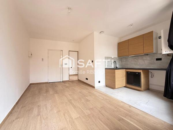PERPIGNAN,APPT T2 RENOVE AVEC GOUT,CENTRE VILLE