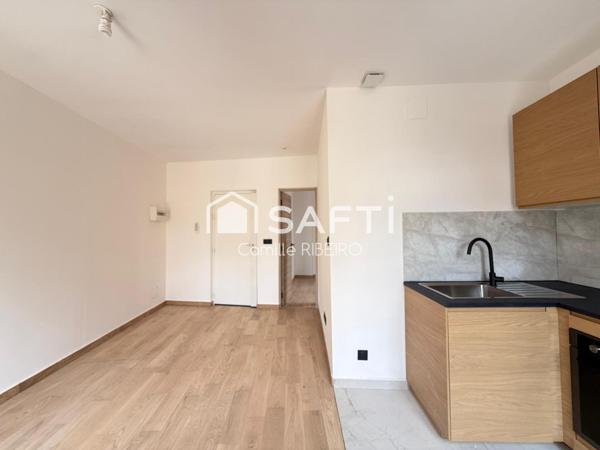 PERPIGNAN,APPT T2 RENOVE AVEC GOUT,CENTRE VILLE