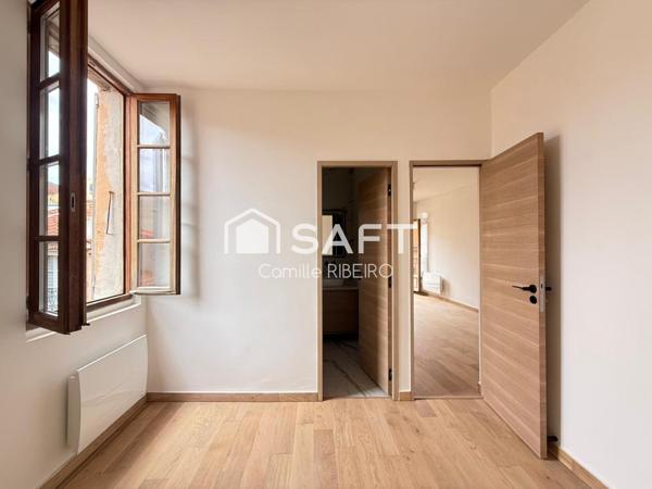 PERPIGNAN,APPT T2 RENOVE AVEC GOUT,CENTRE VILLE