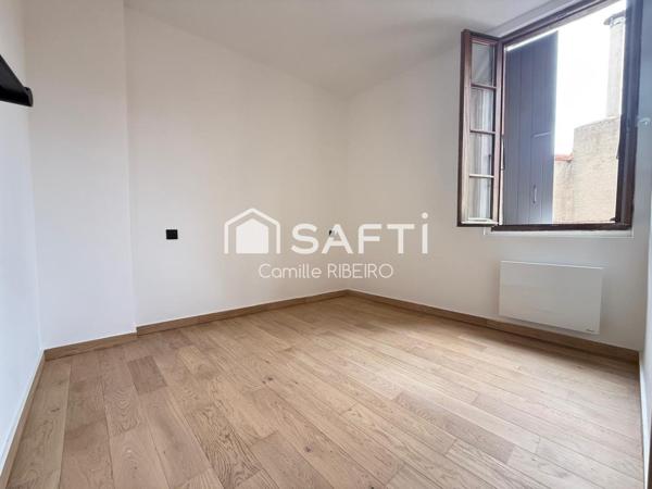 PERPIGNAN,APPT T2 RENOVE AVEC GOUT,CENTRE VILLE