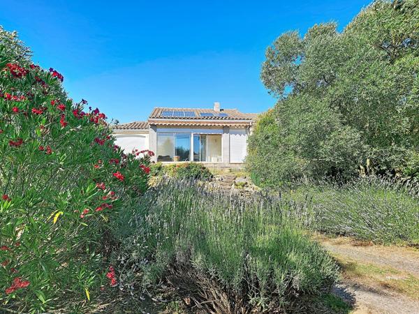À Castelnaudary – Maison familiale avec piscine sur plus de 5 000 m² de terrain arboré