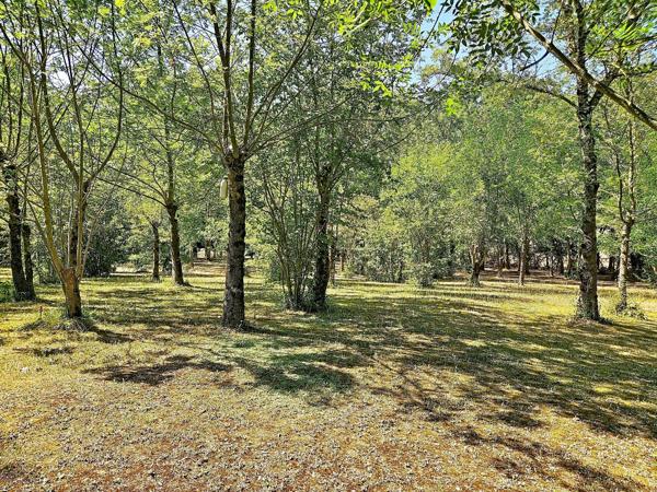 À Castelnaudary – Maison familiale avec piscine sur plus de 5 000 m² de terrain arboré