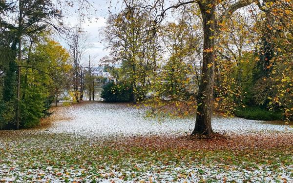 Maison à vendre    8 pièces • 232 m2 Olivet