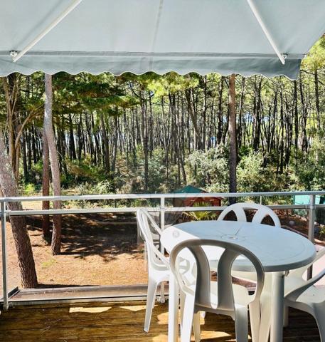 Appartement  en vente - Charente-Maritime - 17