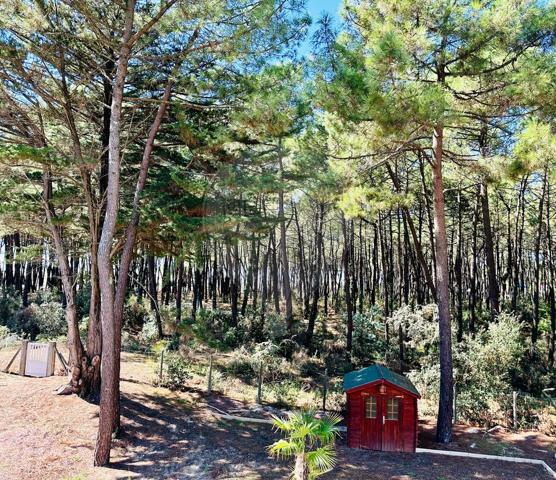 Appartement  en vente - Charente-Maritime - 17