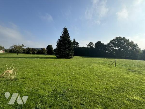 Calme, Bon état général