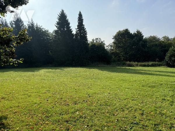 Calme, Bon état général