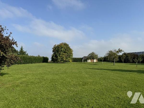 Calme, Bon état général